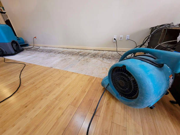 Professional Basement Flood Cleanup technician working in Harrisonville, MO